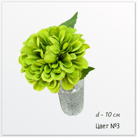 Георгин Дахлия Пинната, цвет №3