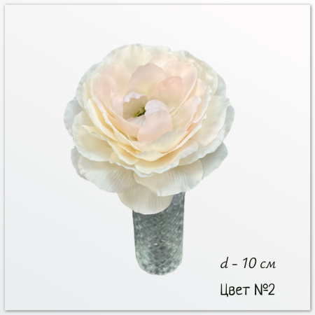 Камелия японская Нираль, Малая, цвет №2