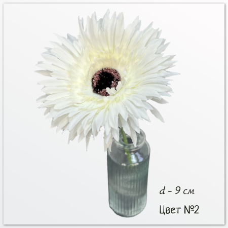 Гербера Стейси, цвет №2