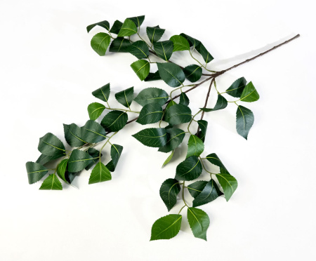 xa5fg8pur1nijfl74sds6igjogyezi3q