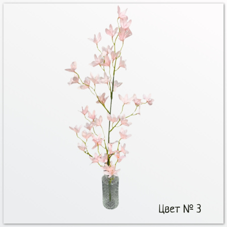 Звездочка Надин, Цвет №3