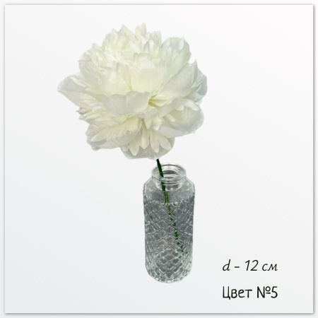 Пион Лорен, цвет №5