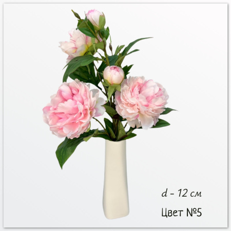 Пион Эланд, ветка, цвет №5