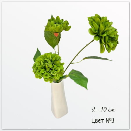 Георгин Дахлия Пинната, ветка, цвет №3